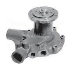 Q03 60 007 WATER PUMP DAF