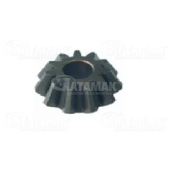  PINION   