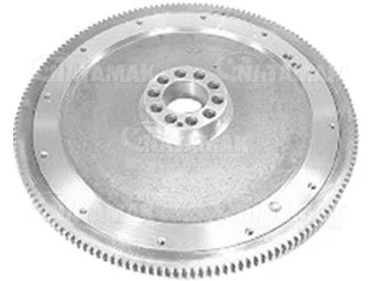 VOLANT KOMPLE TGA D2066 FORTUNA