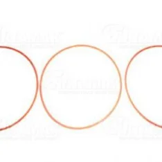 Q22 70 006 O-RING CYLINDER LINER SEALING KIT