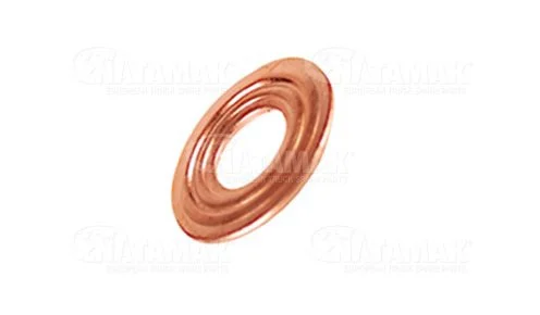 INJECTION WASHER