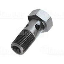 Q10 10 114 HOLLOW SCREW M10x1,00x30 FOR MERCEDES