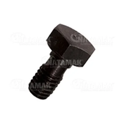 Q10 20 101 MAN MAZOT RAKORU