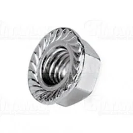 Q4 20 080 FLANGED STEED NUT 10 MM FOR MAN