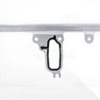  EGZOZ MANİFOLD CONTASI