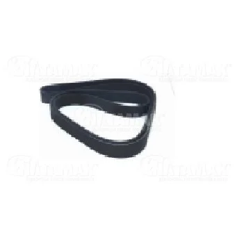  MULTIRIBBED BELT