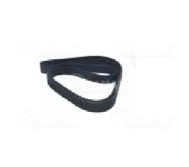 MULTIRIBBED BELT
